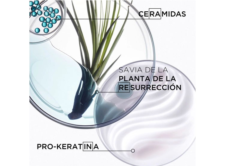 SHAMPOO FORTALECEDOR CABELLO FRÁGIL Y DEBILITADO KÉRASTASE BAIN FORCE ARCHITECTE RESISTANCE 250 ML  - 4