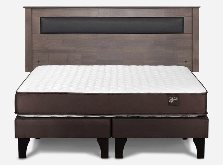 JUEGO DE DORMITORIO ROSEN CAMA EUROPEA ERGO T BD 2 PLAZAS + RESPALDO FERRARA - 1