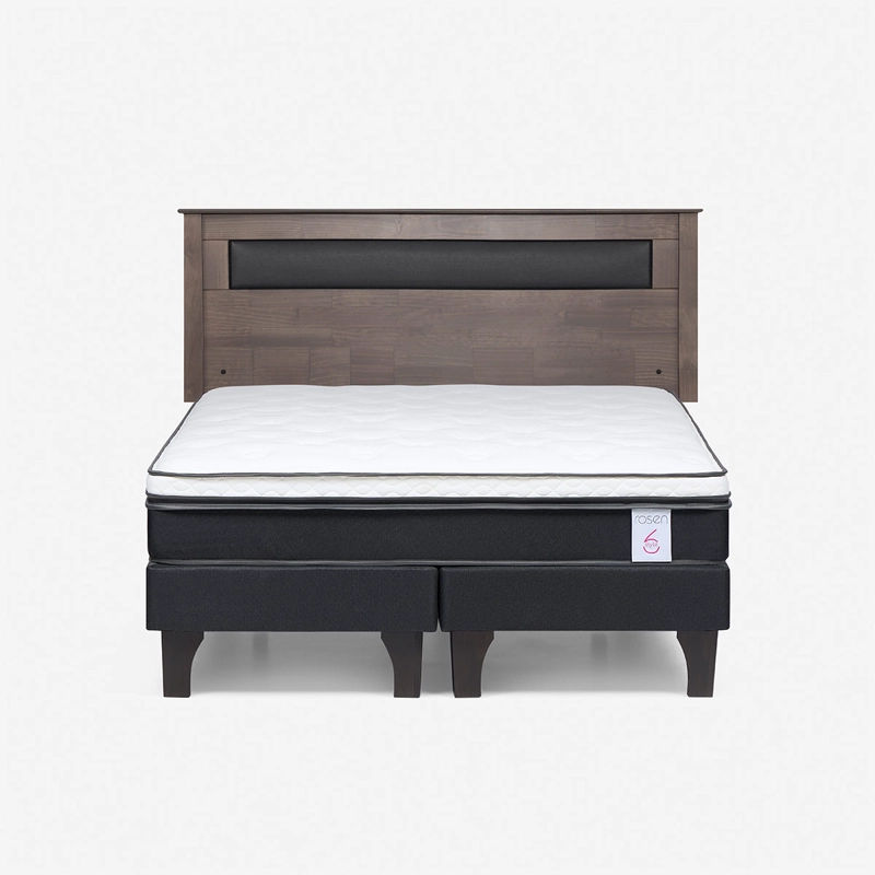 CAMA EUROPEA 2 PLAZAS NEW STYLE 6 BASE DIVIDIDA + RESPALDO FERRARA ROSEN - 1