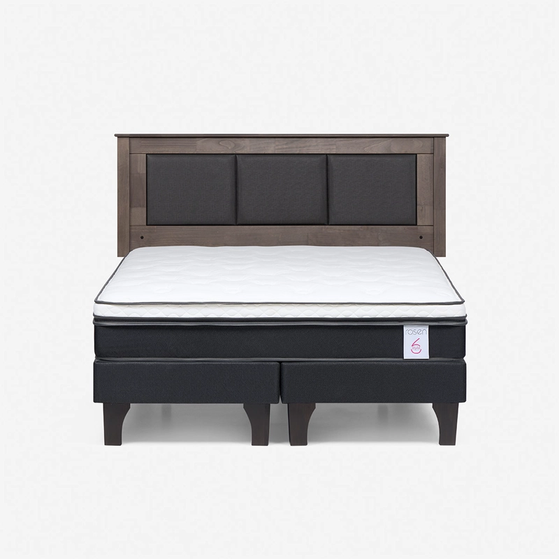 CAMA EUROPEA ROSEN STYLE 6 BD 2 PLAZAS + RESPALDO RACHEL - 1