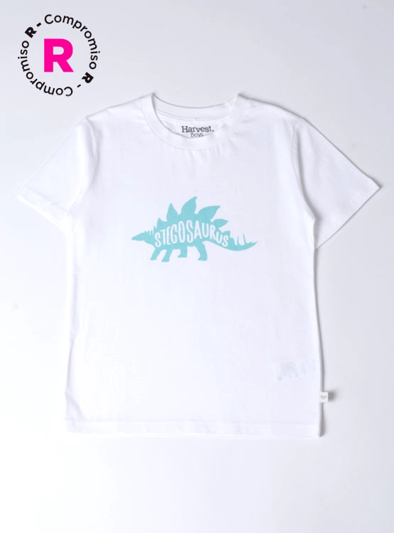 POLERA MANGA CORTA NIÑO HARVEST