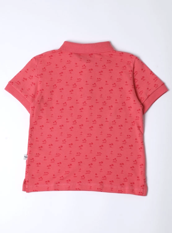 POLERA MANGA CORTA NIÑO HARVEST - 2