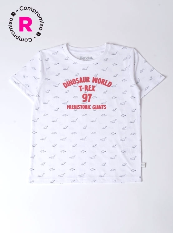 POLERA MANGA CORTA NIÑO HARVEST
