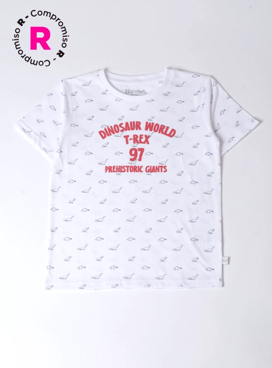 POLERA MANGA CORTA NIÑO HARVEST - 1