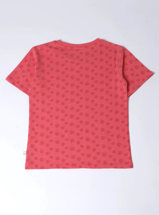 POLERA MANGA CORTA NIÑO HARVEST - 2