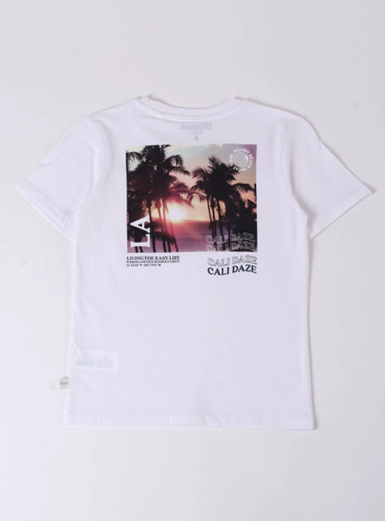 POLERA MANGA CORTA  NIÑO HARVEST PRINT ESPALDA - 2
