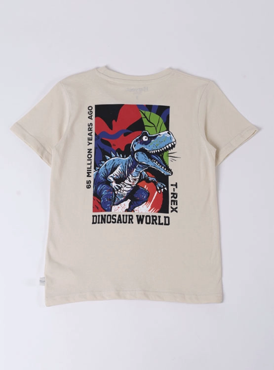 POLERA MANGA CORTA  NIÑO HARVEST PRINT ESPALDA - 2