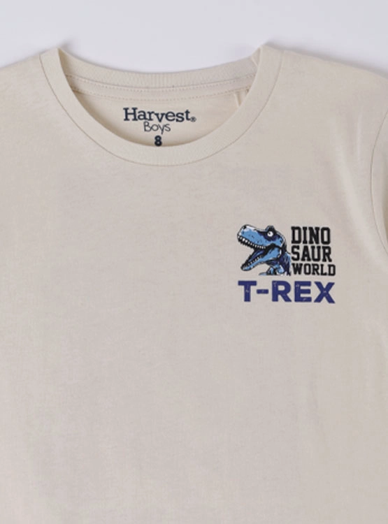 POLERA MANGA CORTA  NIÑO HARVEST PRINT ESPALDA - 3