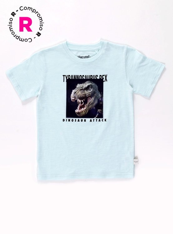 POLERA MANGA CORTA NIÑO HARVEST - 1