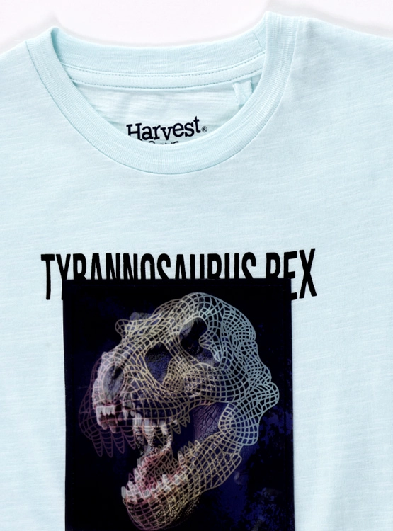 POLERA MANGA CORTA NIÑO HARVEST - 3