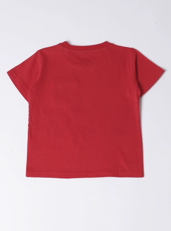 POLERA MANGA CORTA NIÑO BABY HARVEST - 2