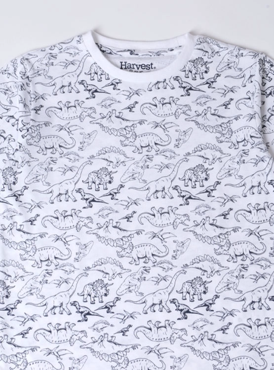 POLERA MANGA CORTA NIÑO HARVEST - 3