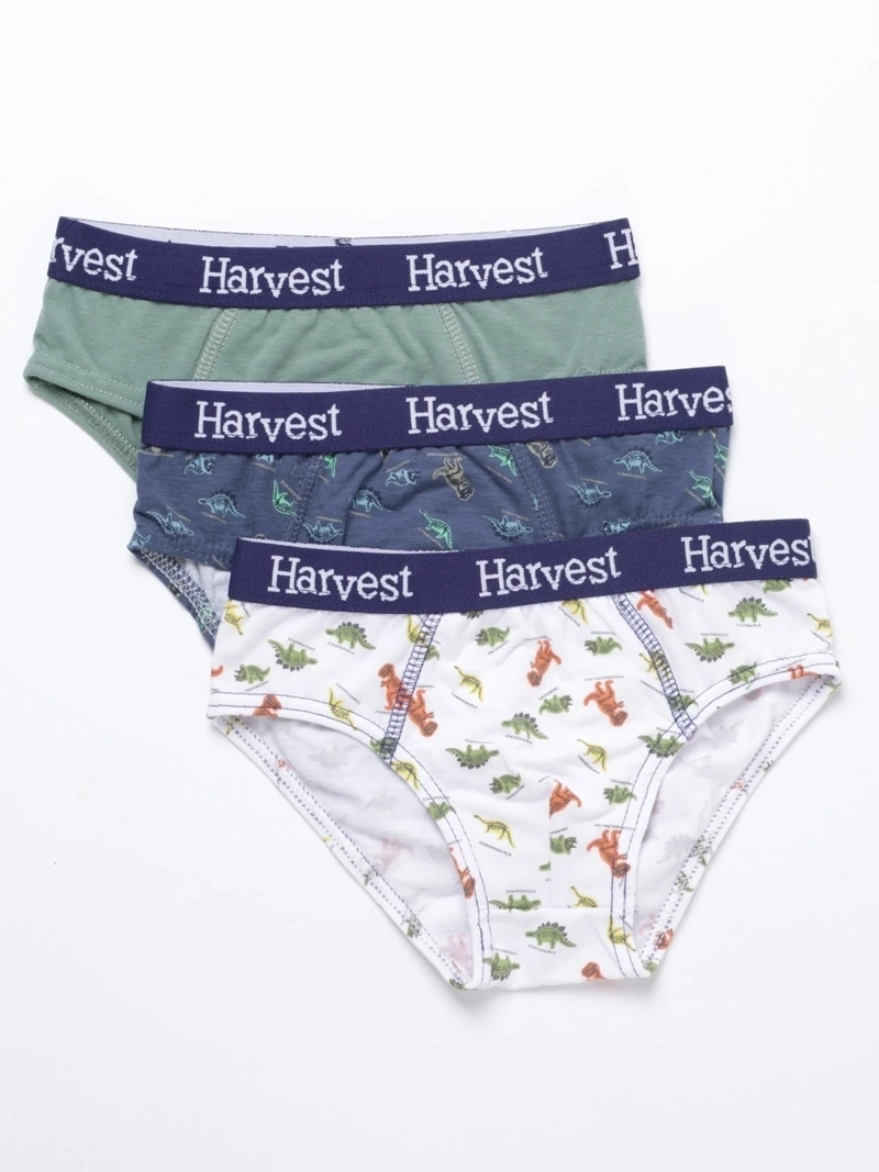 PACK 3 CALZONCILLO ALGODÓN NIÑO HARVEST MULTICOLOR SLIP - 1