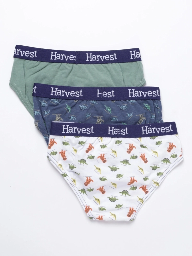 PACK 3 CALZONCILLO ALGODÓN NIÑO HARVEST MULTICOLOR SLIP - 2