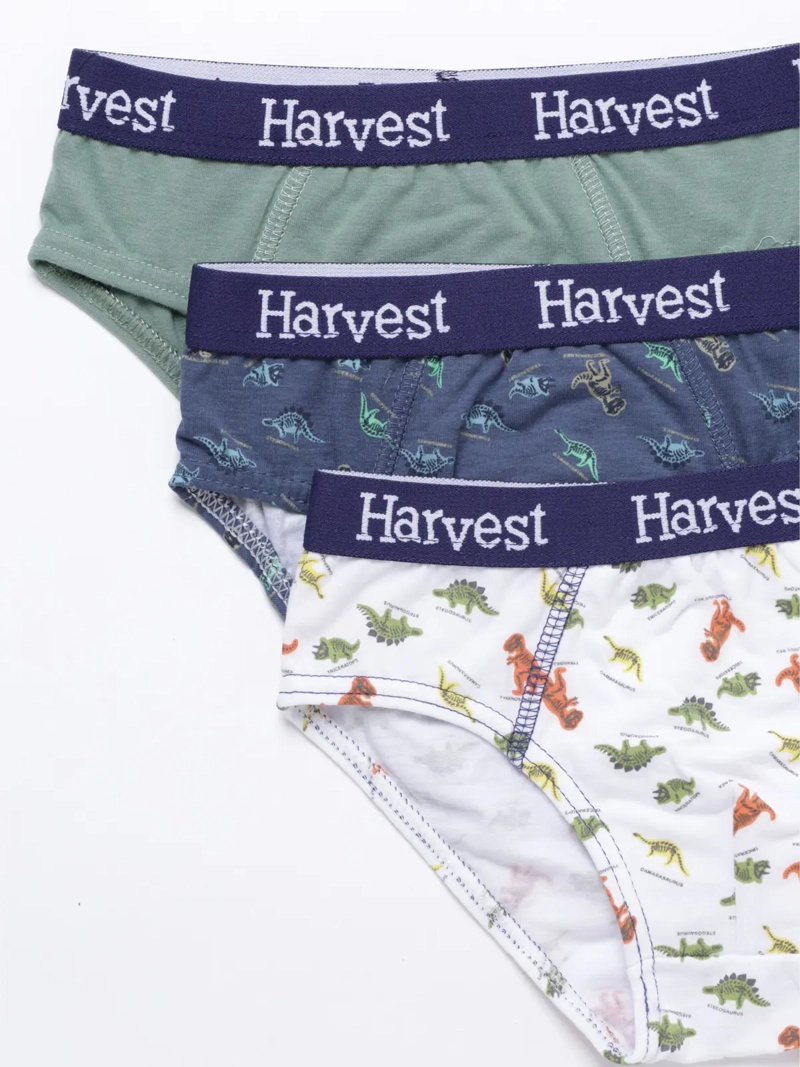 PACK 3 CALZONCILLO ALGODÓN NIÑO HARVEST MULTICOLOR SLIP - 3