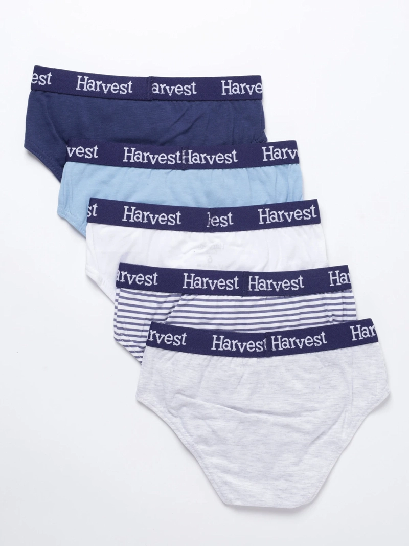 PACK 5 CALZONCILLO ALGODÓN NIÑO HARVEST MULTICOLOR SLIP - 2