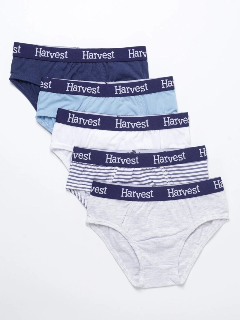 PACK 5 CALZONCILLO ALGODÓN NIÑO HARVEST MULTICOLOR SLIP - 1
