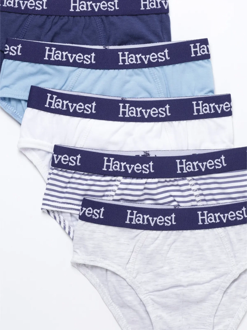PACK 5 CALZONCILLO ALGODÓN NIÑO HARVEST MULTICOLOR SLIP - 3