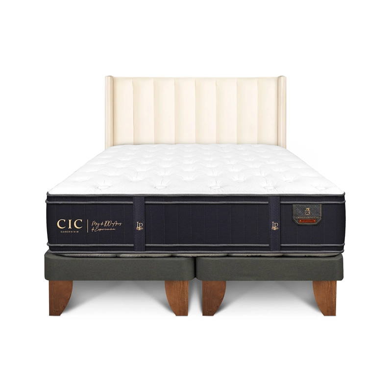 JUEGO DE DORMITORIO CIC CAMA EUROPEA GRAND PREMIUM BD 2 PLAZAS + RESPALDO PANARO