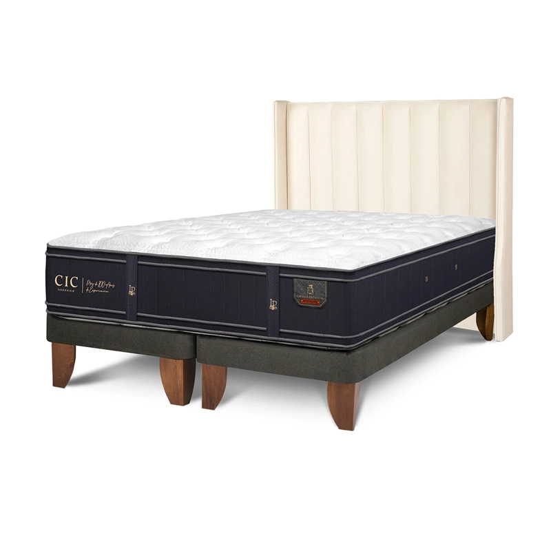 JUEGO DE DORMITORIO CIC CAMA EUROPEA GRAND PREMIUM BD 2 PLAZAS + RESPALDO PANARO - 2