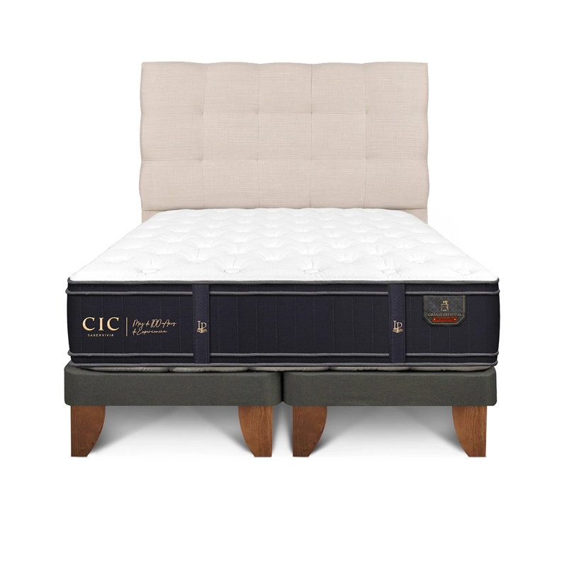 JUEGO DE DORMITORIO CIC CAMA EUROPEA GRAND PREMIUM BD 2 PLAZAS + RESPALDO EBRO