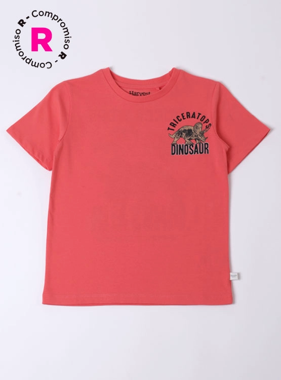 POLERA MANGA CORTA NIÑO HARVEST