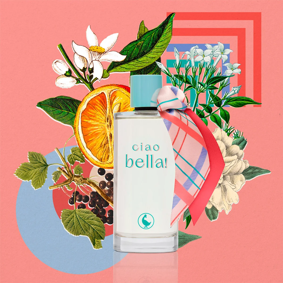 PERFUME EL GANSO CIAO BELLA MUJER EDT 75 ML EDICIÓN LIMITADA - 3