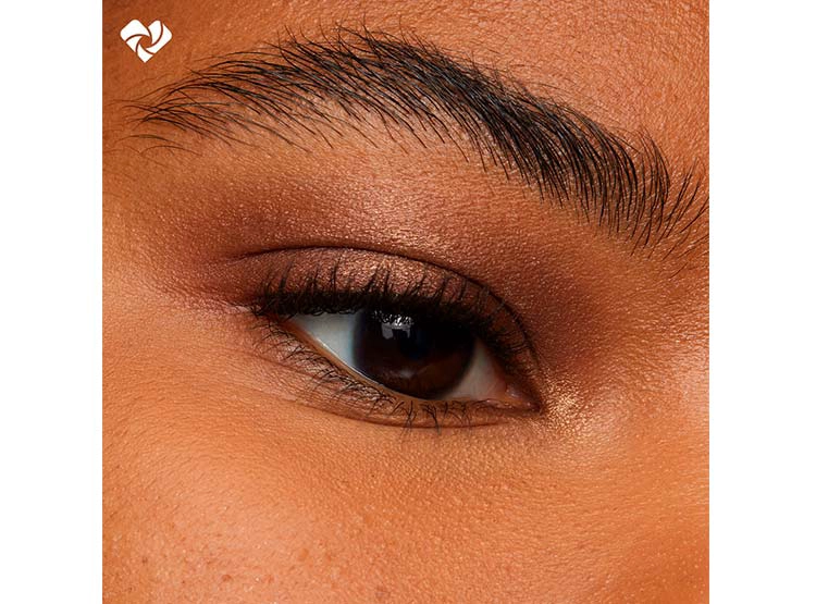 SOMBRA DE OJOS LOREAL LE SHADOW STICK - 5