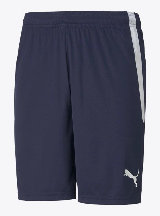 SHORT PUMA TEAMLIGA - 1