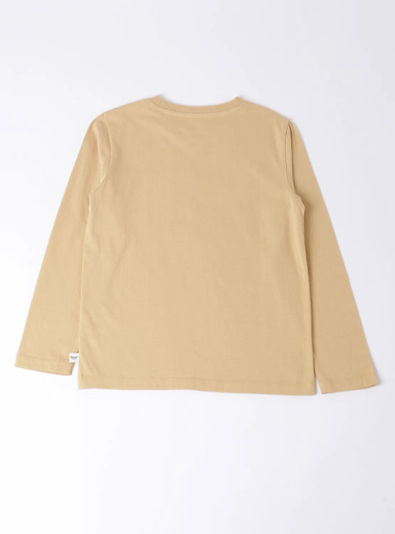 POLERA MANGA LARGA NIÑO HARVEST - 2