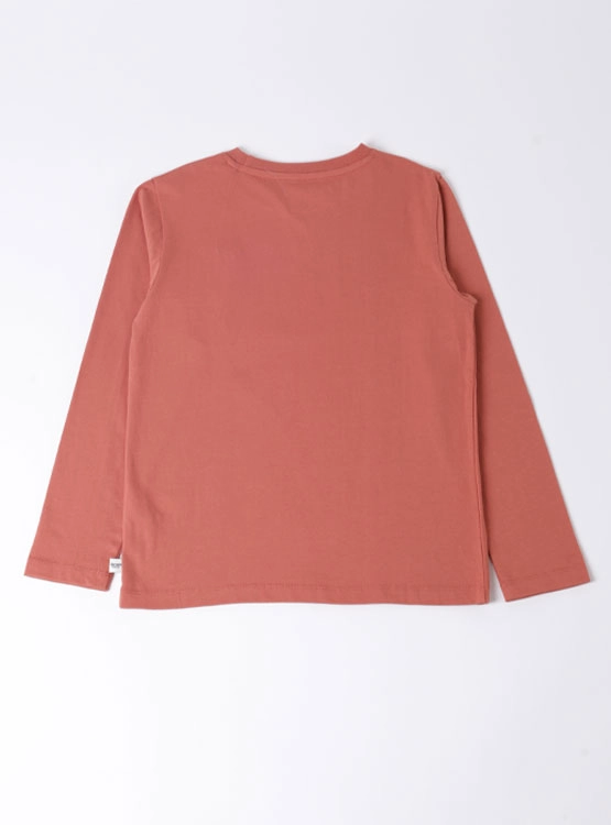 POLERA MANGA LARGA NIÑO HARVEST - 2