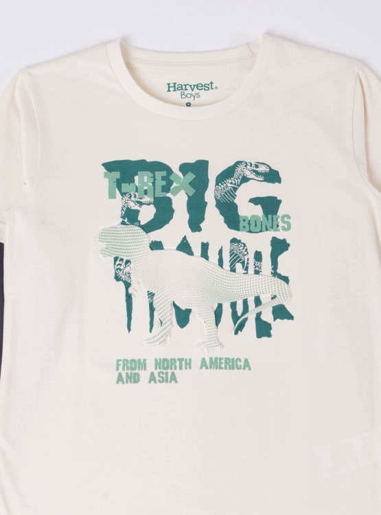 POLERA MANGA LARGA ALGODÓN NIÑO HARVEST - 3