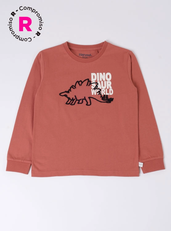 POLERA MANGA LARGA ALGODÓN NIÑO HARVEST - 1