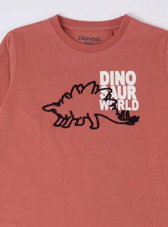 POLERA MANGA LARGA ALGODÓN NIÑO HARVEST - 3
