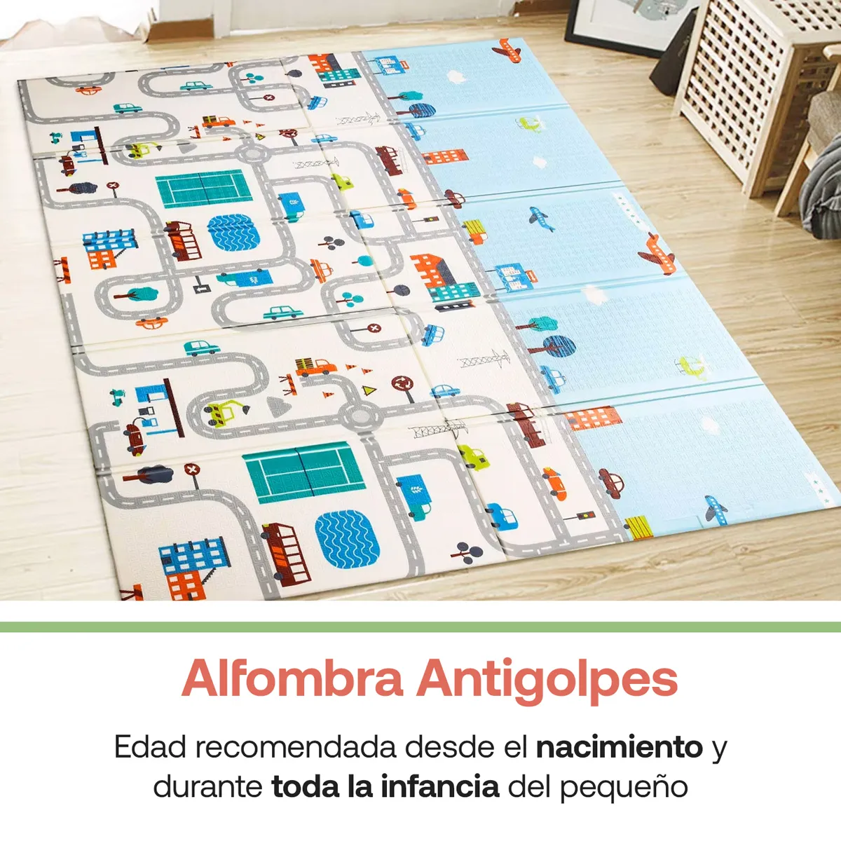 ANTIGOLPES OSO-CIUDAD - 4