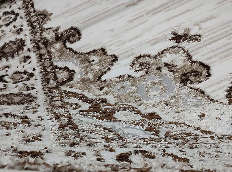 ALFOMBRA IDETEX WINDSOR CAFÉ 200X280 - 3