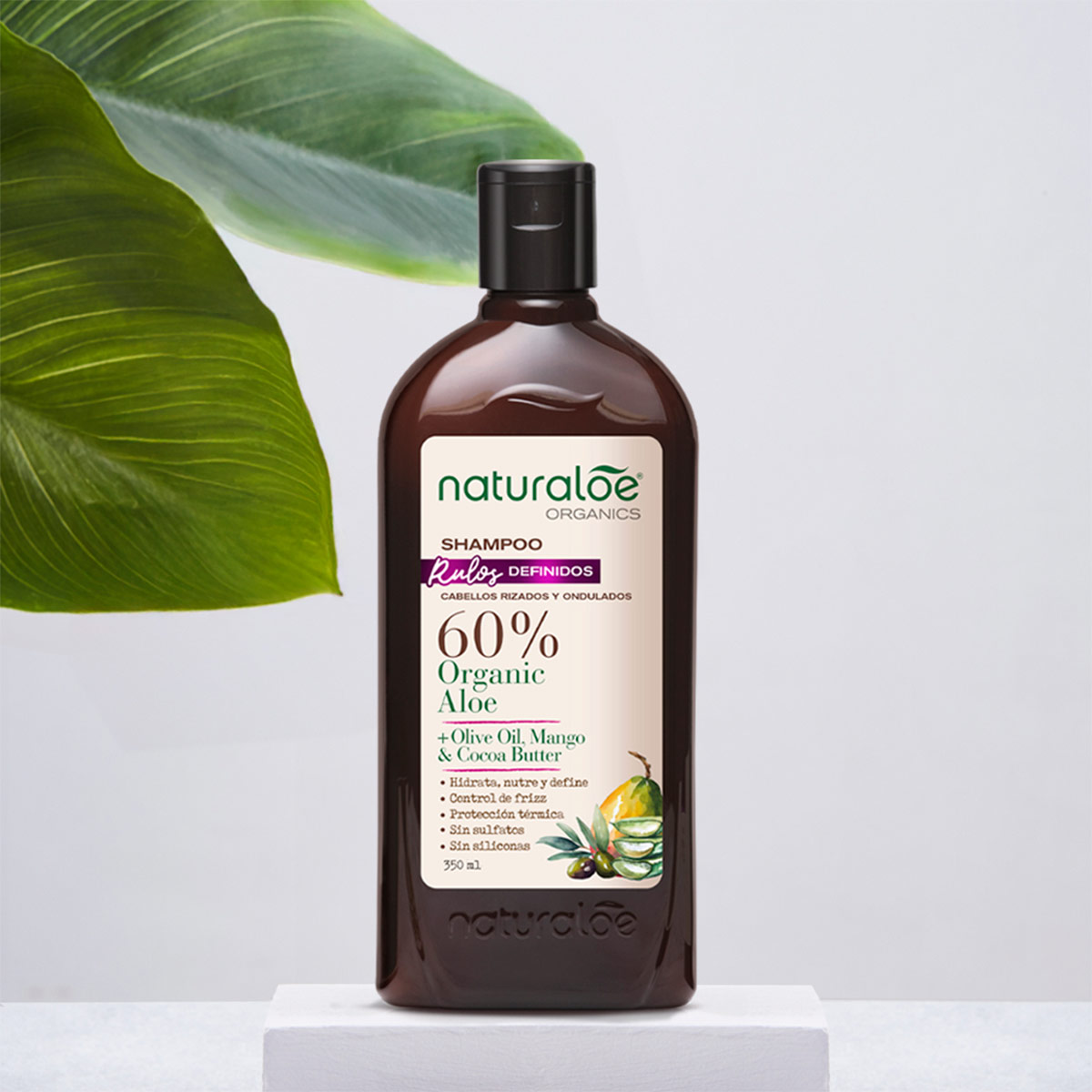 SHAMPOO PARA CABELLO RIZADO NATURALOE RULOS DEFINIDOS 350 ML - 2