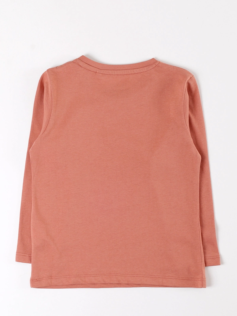 POLERA MANGA LARGA ALGODÓN NIÑO BABY HARVEST BASICA ESTAMPADA - 2