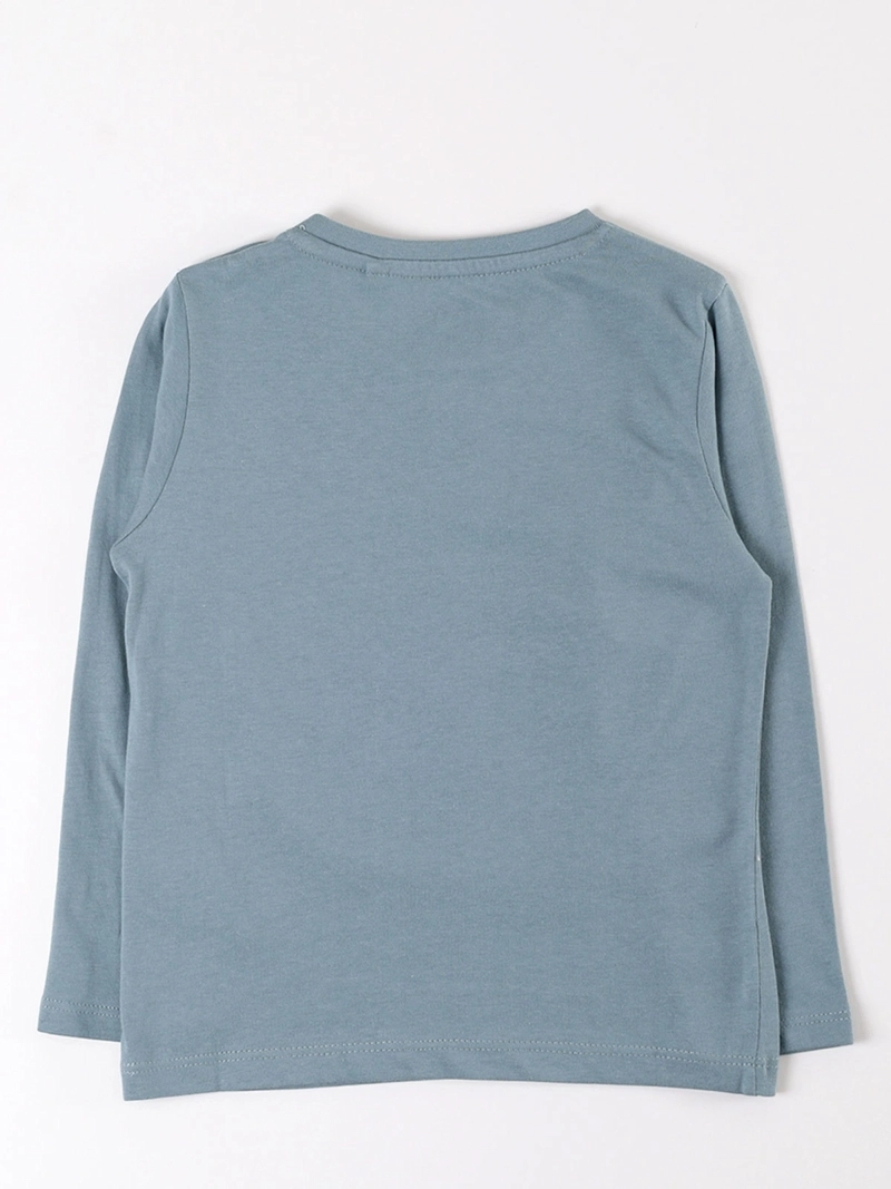 POLERA MANGA LARGA ALGODÓN NIÑO BABY HARVEST BASICA ESTAMPADA - 2