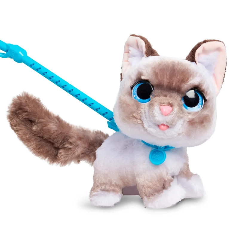 WAG A LOTS KITTY - 3