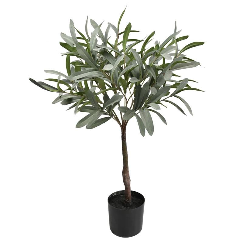 PLANTA DECORATIVA RIPLEY HOME OLIVO - 1