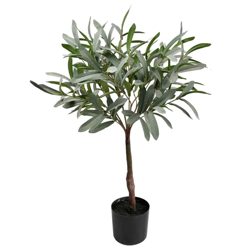 PLANTA DECORATIVA RIPLEY HOME OLIVO - 2