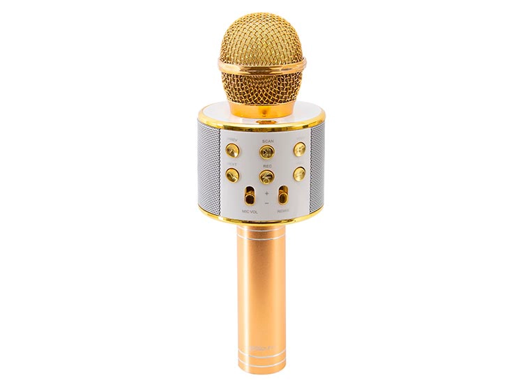 MICRÓFONO PROSOUND MK003 KARAOKE DORADO - 1