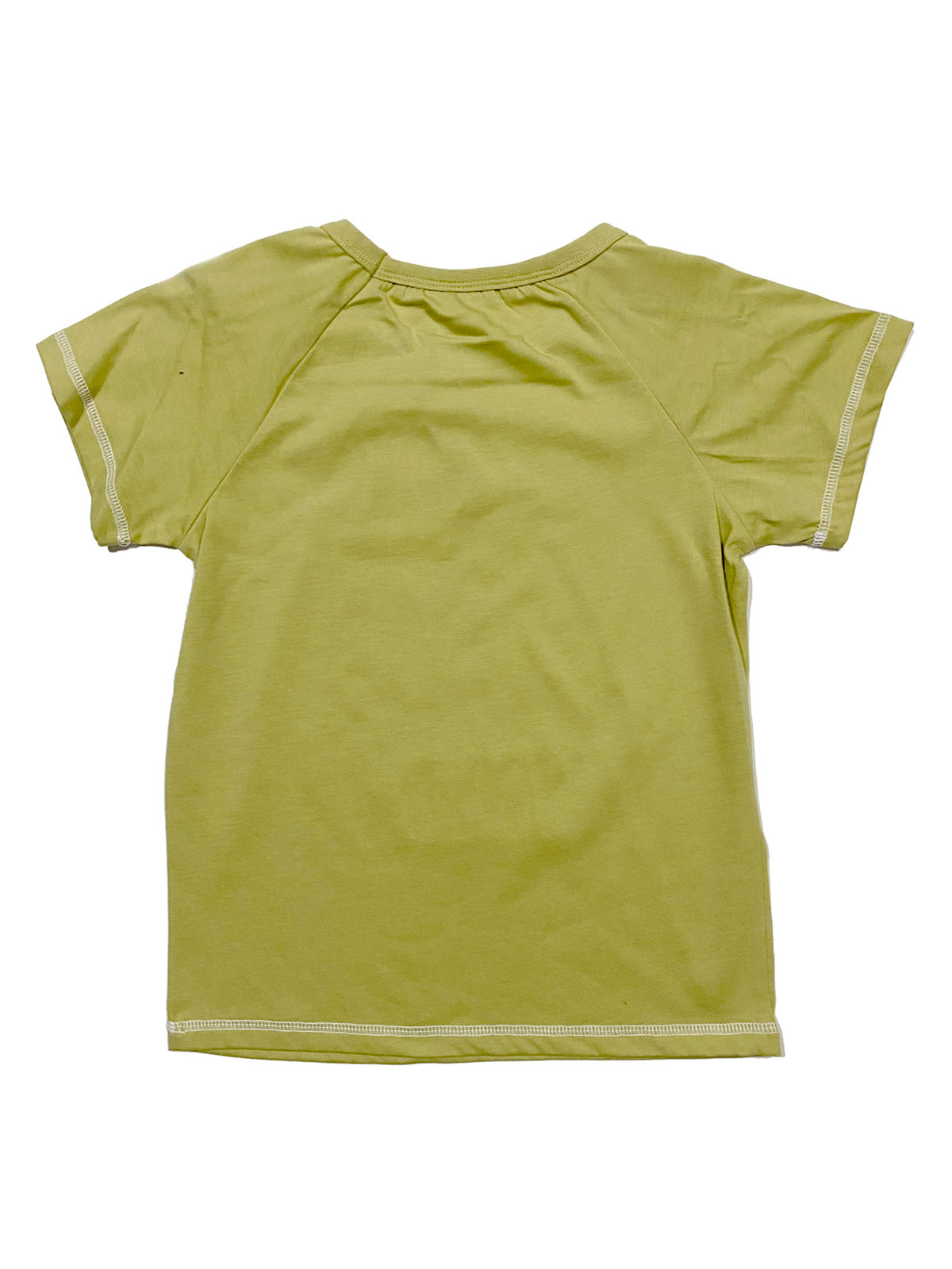 POLERA MANGA CORTA NIÑO JURASSIC WORLD JWTS703 - 2