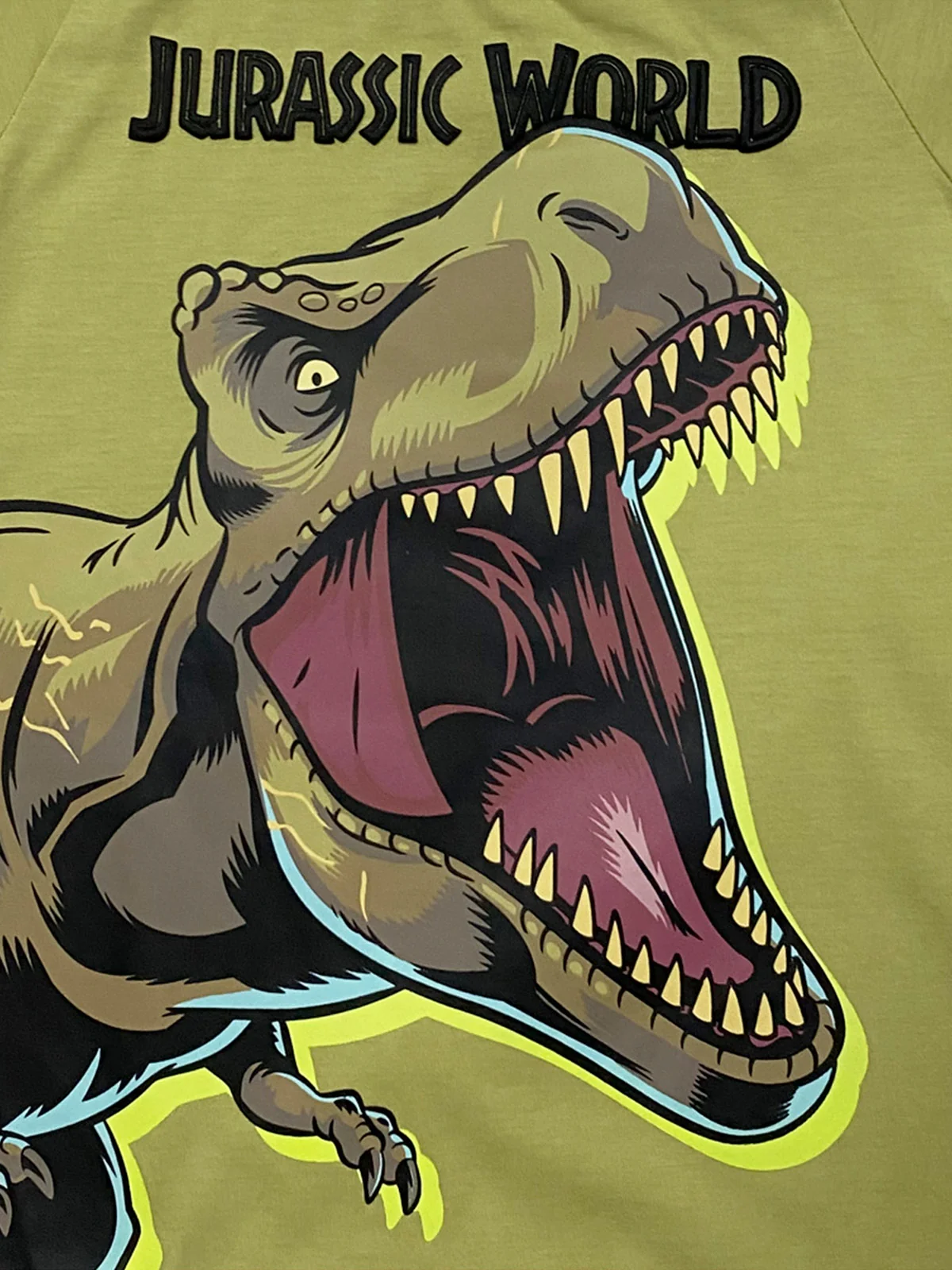 POLERA MANGA CORTA NIÑO JURASSIC WORLD JWTS705 - 3