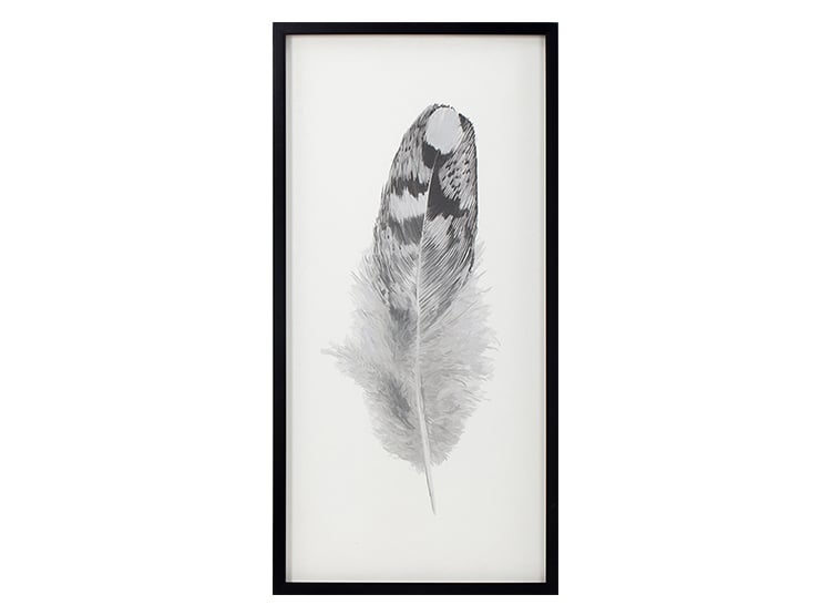 CUADRO MOOD PLUMA 1 45X90 - 1