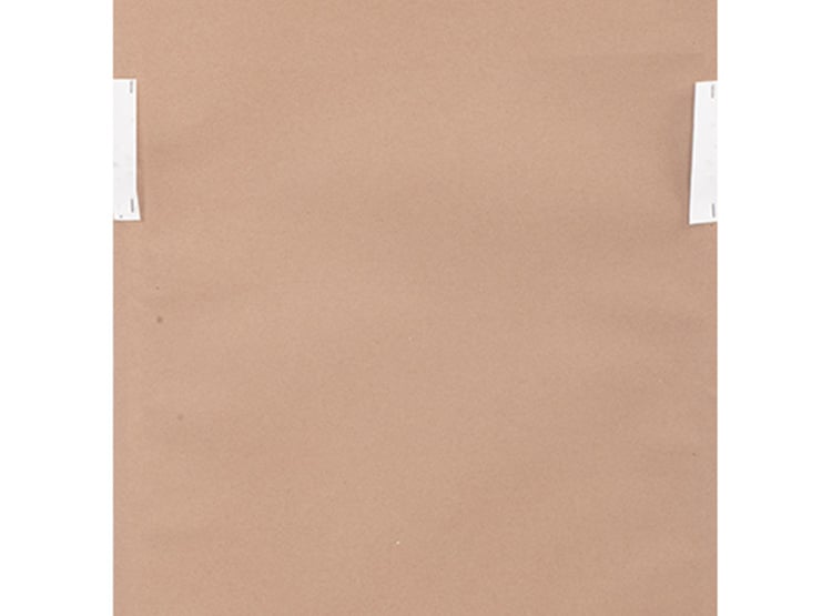 CUADRO MOOD PLUMA 1 45X90 - 4