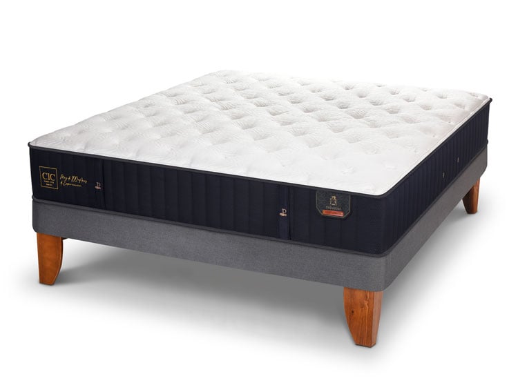 CAMA EUROPEA CIC PREMIUM FULL - 2