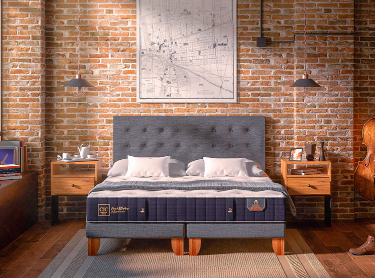 CAMA EUROPEA CIC PREMIUM B/D QUEEN - 9