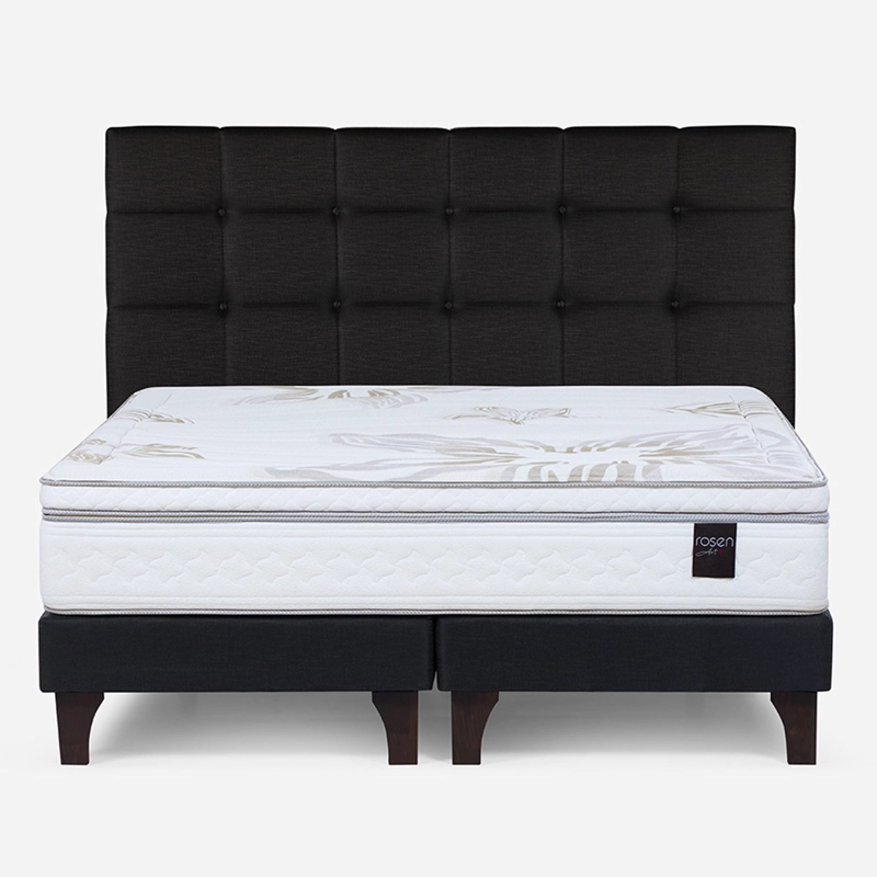 CAMA EUROPEA ROSEN ART 4 KING + RESPALDO ISSEY GRAFITO - 1